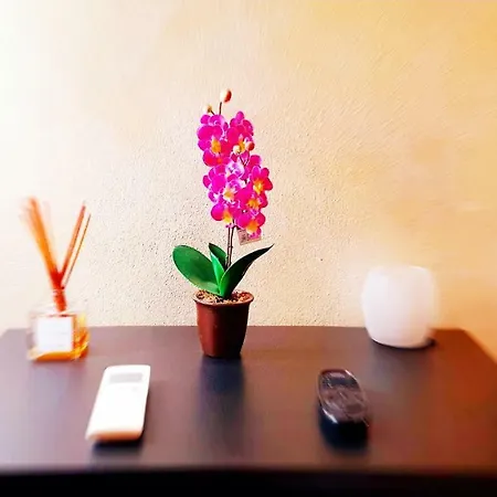Guest house Beethoven Reggio Emilia